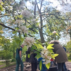 Gartentag 2024&nbsp;&copy;&nbsp;Kindertagesstätte